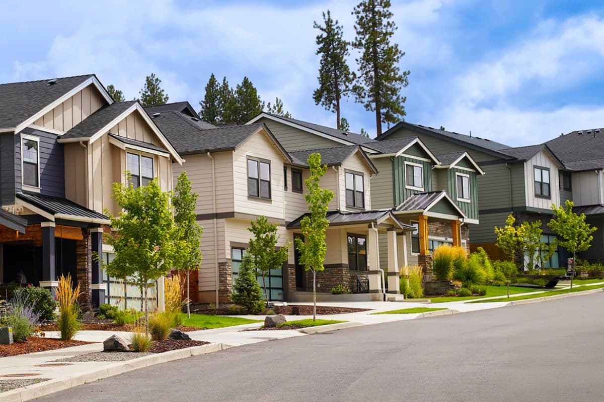 A street of newly built two-story homes with young trees and landscaped front yards